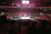 wrestling_results